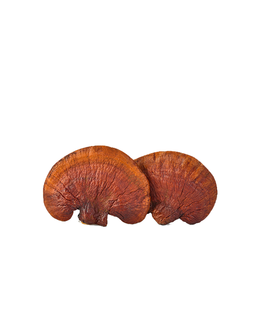 100g Reishi mushroom